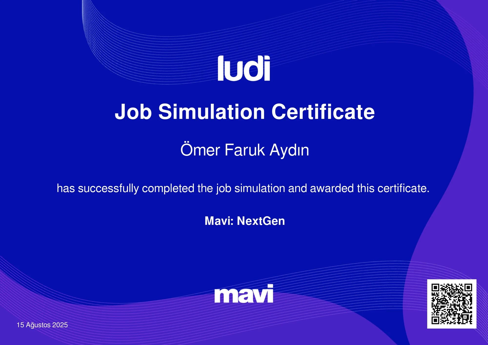 Mavi NextGen Job Simulation, Ludi